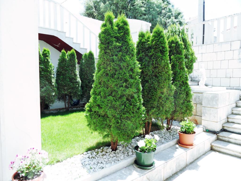Adria Apartments And Rooms Dubrovnik Exterior foto